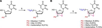 Towards the controlled enzymatic synthesis of LNA containing oligonucleotides